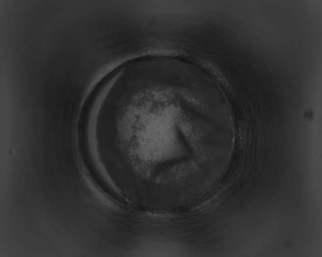 X0000091900726200710031201