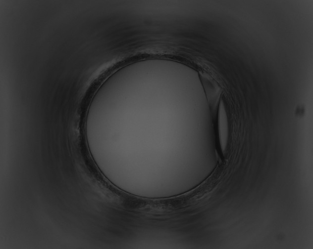 X0000091900727200710031201