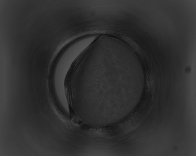 X0000091900728200710031201