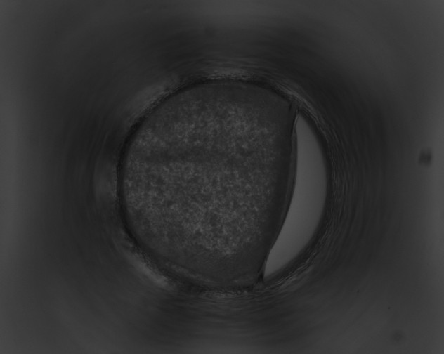 X0000091900729200710031201