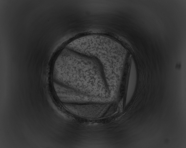 X0000091900730200710031201