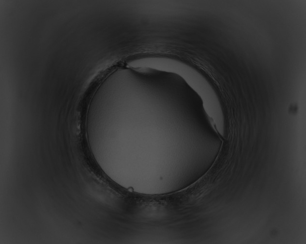 X0000091900731200710031201