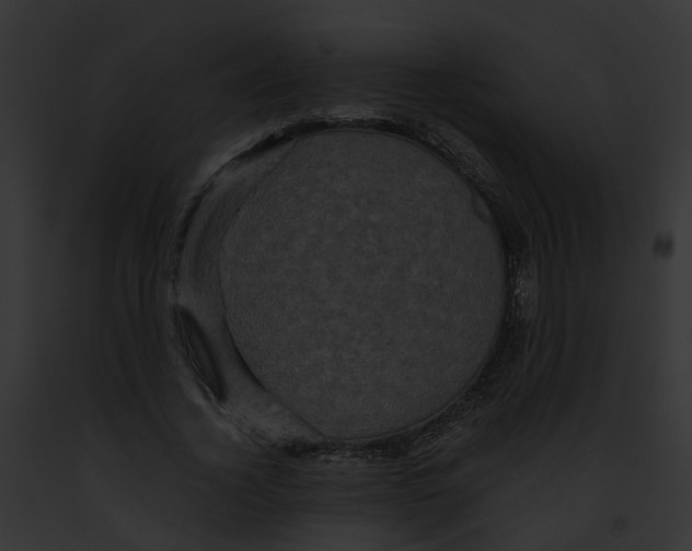 X0000091900732200710031201