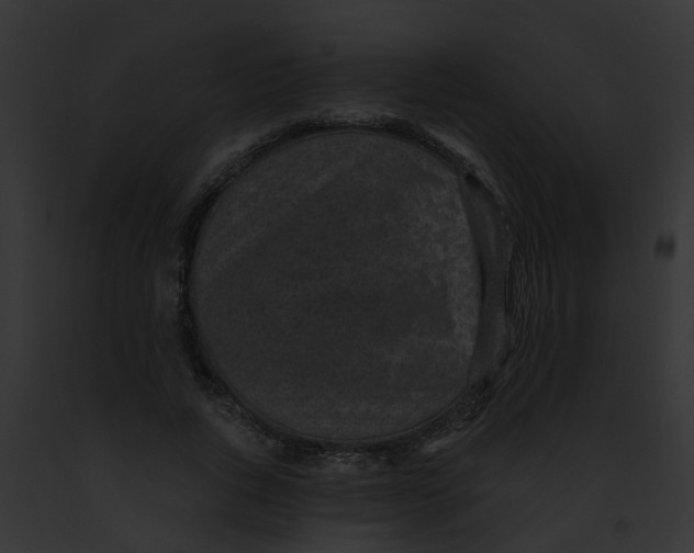 X0000091900736200710031201