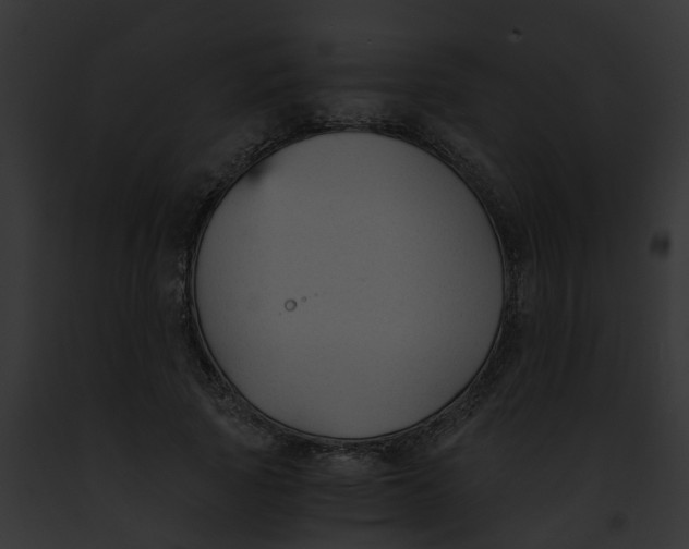 X0000091900737200710031201