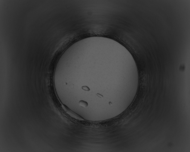 X0000091900738200710031201