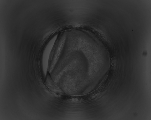 X0000091900740200710031201