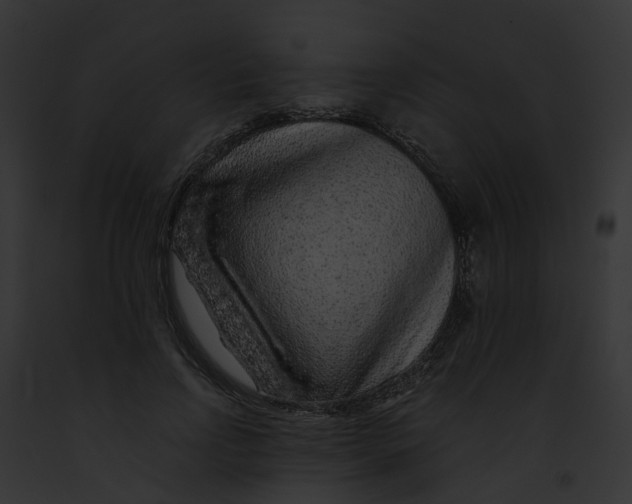 X0000091900742200710031201