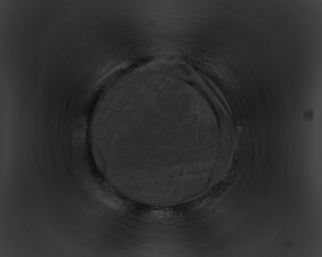 X0000091900744200710031201