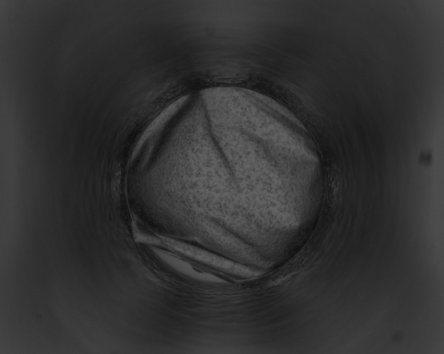 X0000091900745200710031202