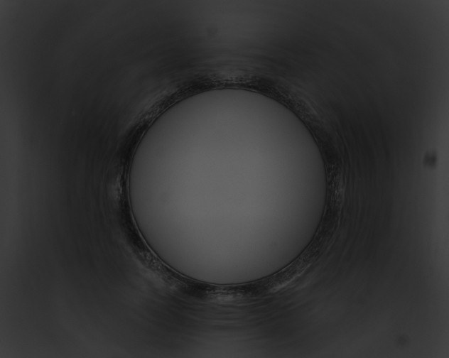 X0000091900746200710031202