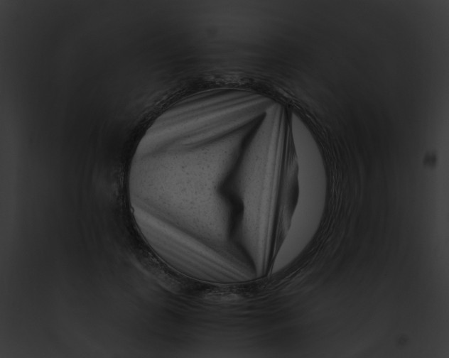 X0000091900747200710031202