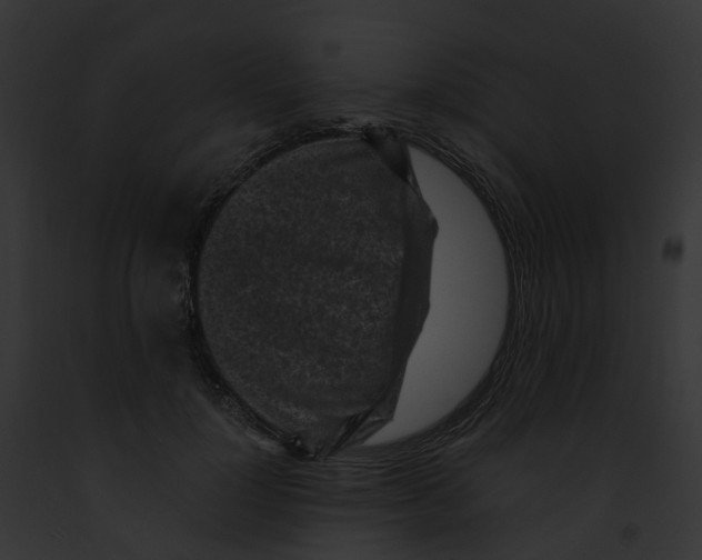 X0000091900748200710031202