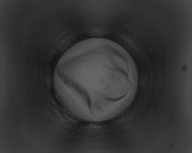 X0000091900749200710031202