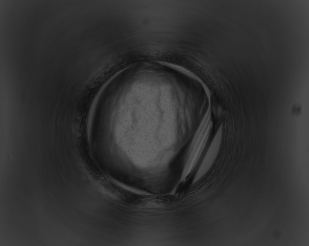 X0000091900750200710031202