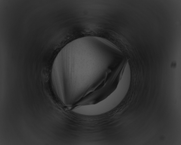 X0000091900751200710031202