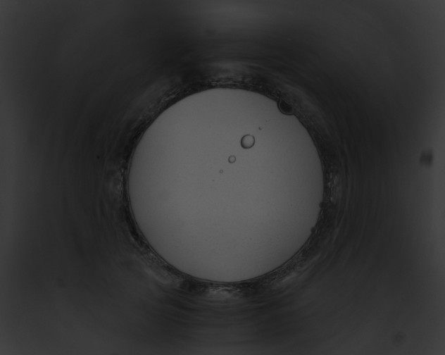 X0000091900753200710031202