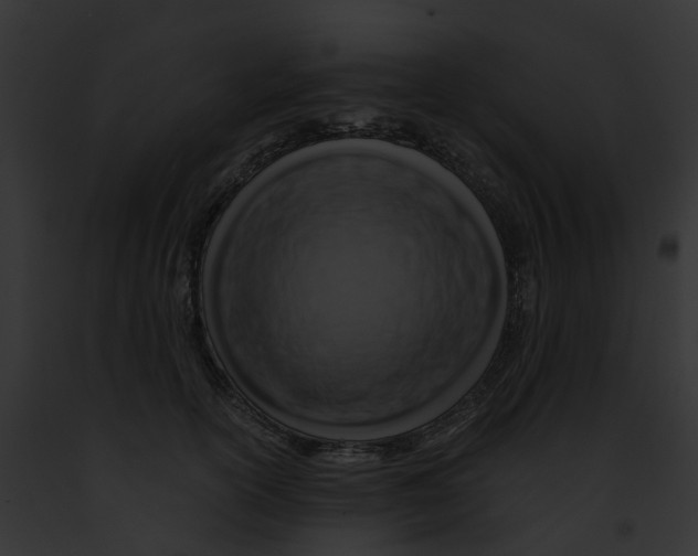 X0000091900754200710031202