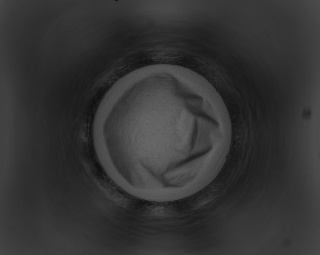 X0000091900755200710031202