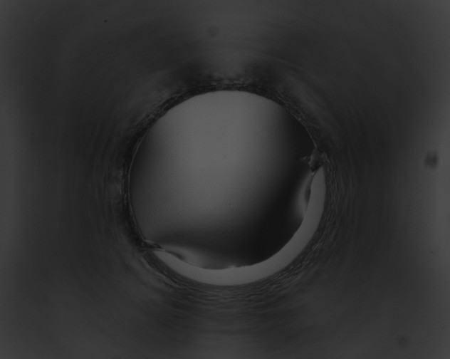 X0000091900756200710031202