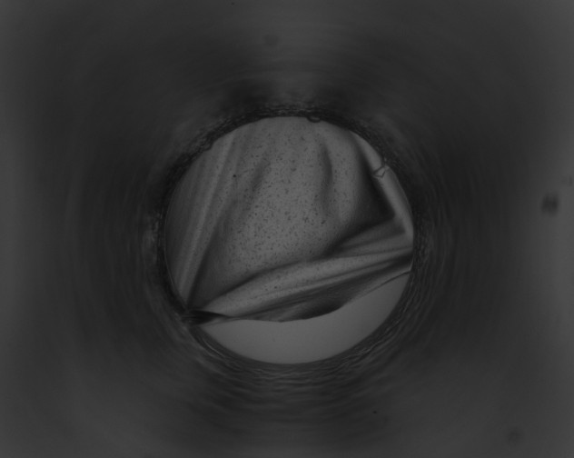 X0000091900759200710031202