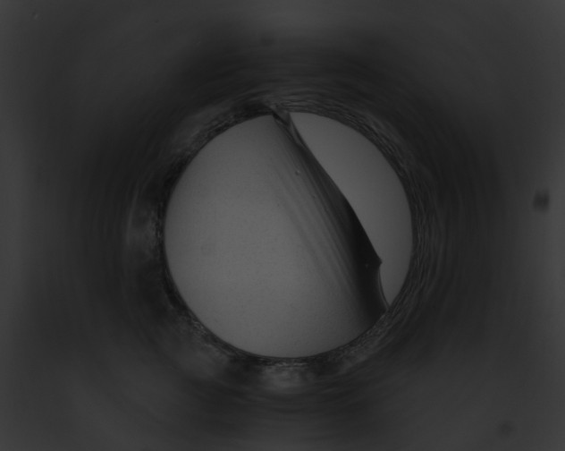 X0000091900761200710031202