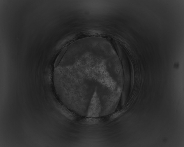 X0000091900762200710031202