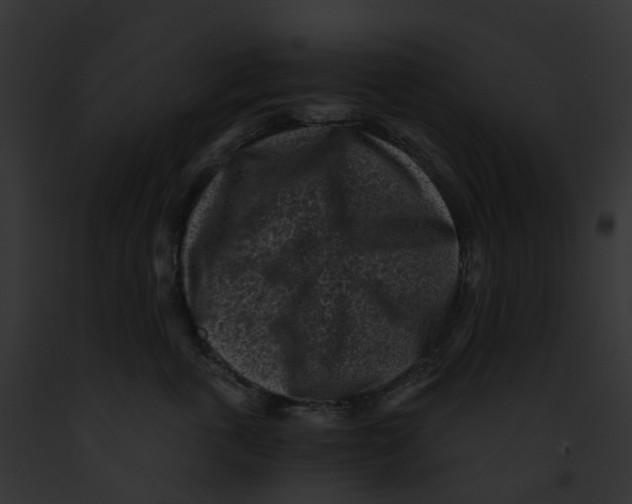 X0000091900763200710031202