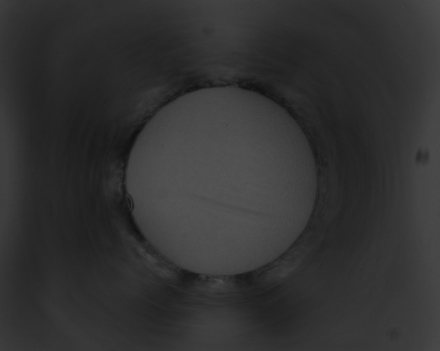 X0000091900768200710031202