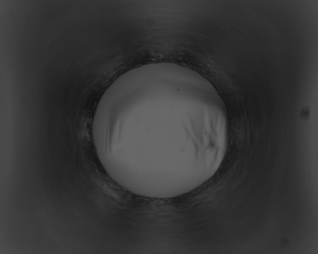 X0000091900770200710031201