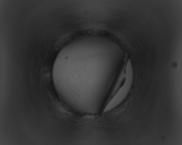 X0000091900771200710031201