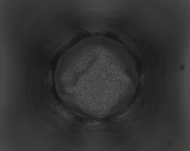 X0000091900772200710031201