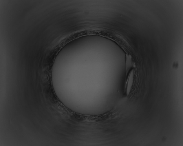 X0000091900773200710031201