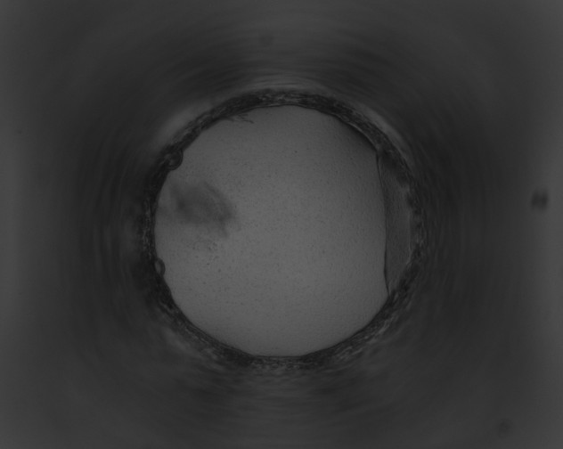 X0000091900775200710031201