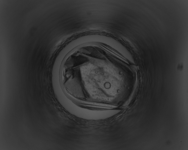 X0000091900776200710031201