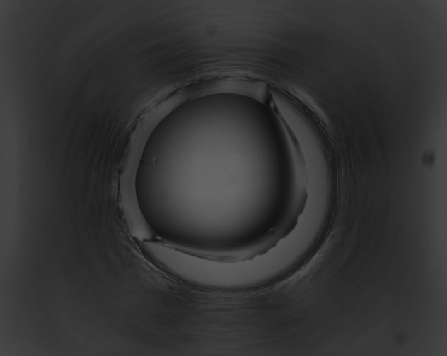 X0000091900777200710031201