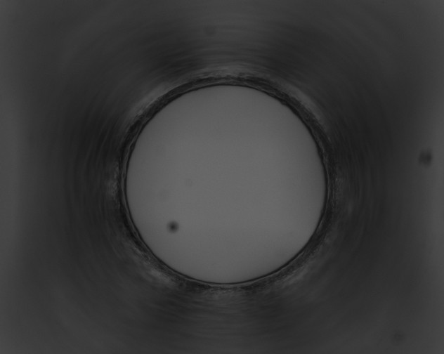 X0000091900778200710031201