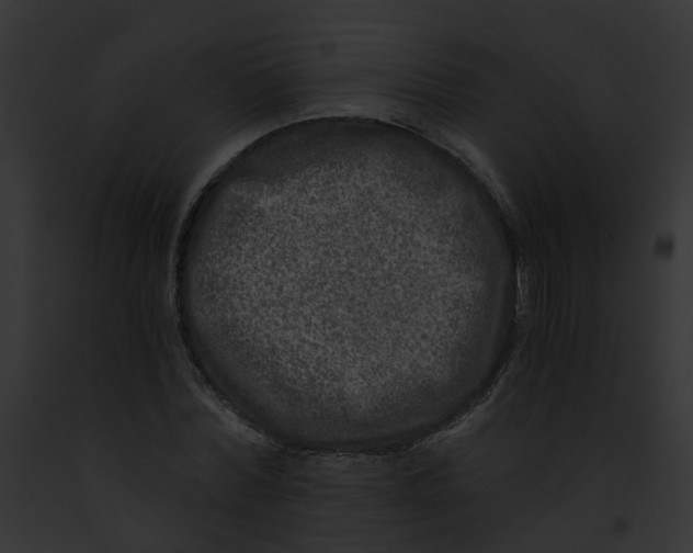 X0000091900780200710031201