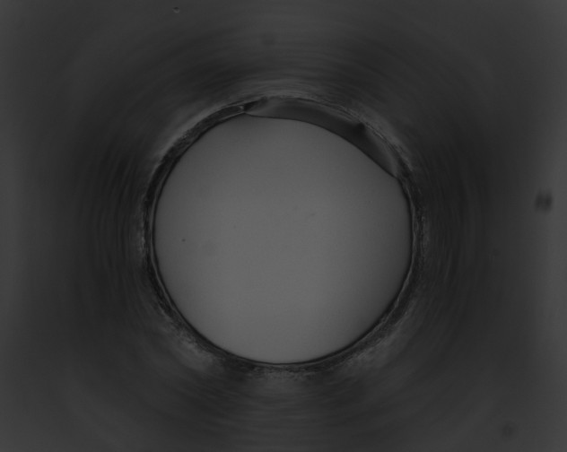 X0000091900782200710031201