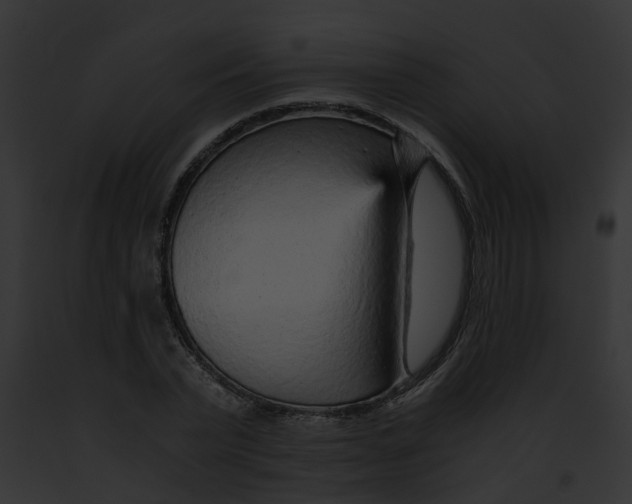 X0000091900783200710031201