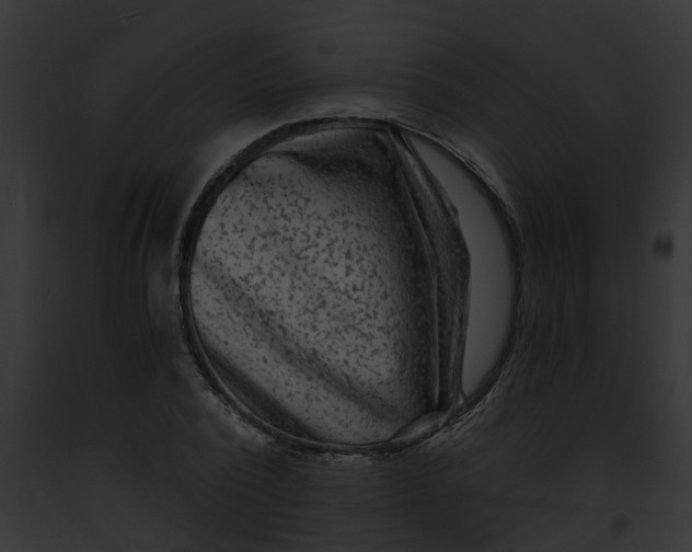 X0000091900784200710031201