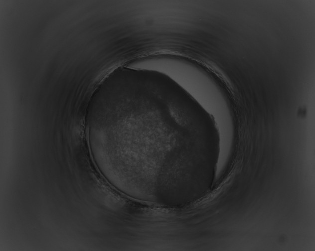 X0000091900785200710031201