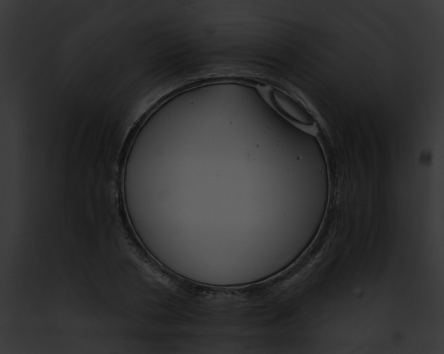 X0000091900786200710031201