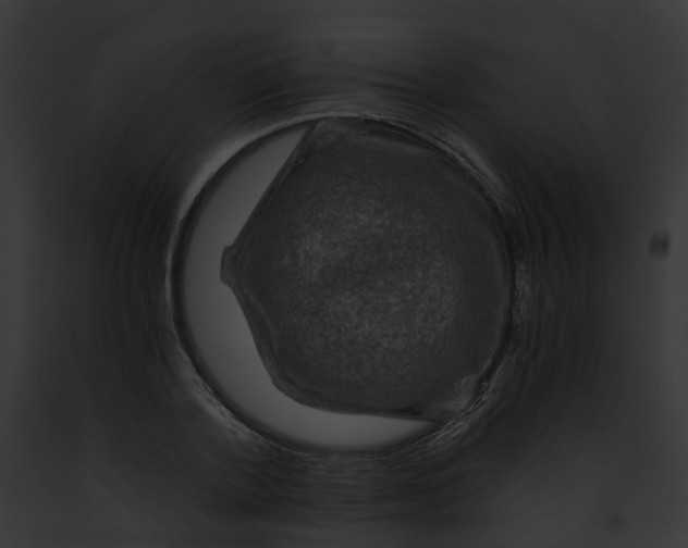 X0000091900788200710031201