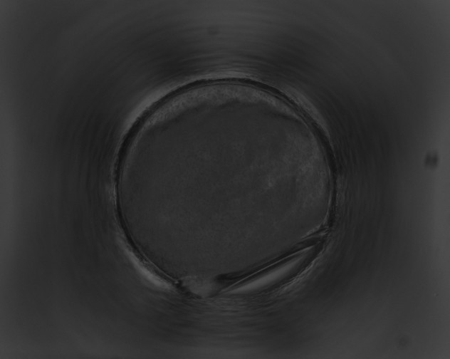 X0000091900789200710031201