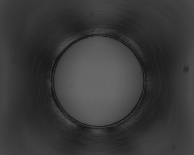 X0000091900794200710031201