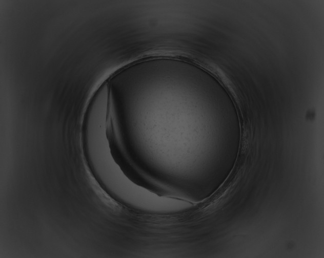 X0000091900795200710031201