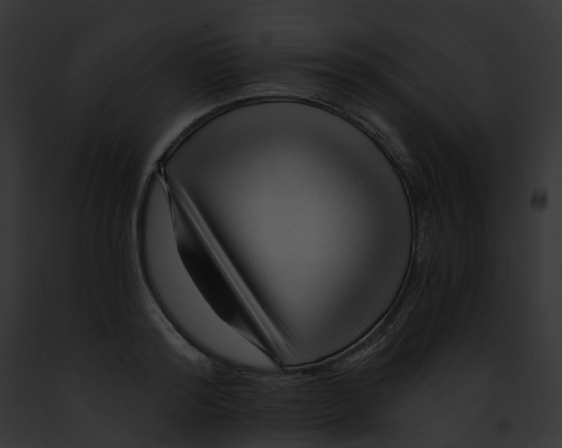 X0000091900796200710031201