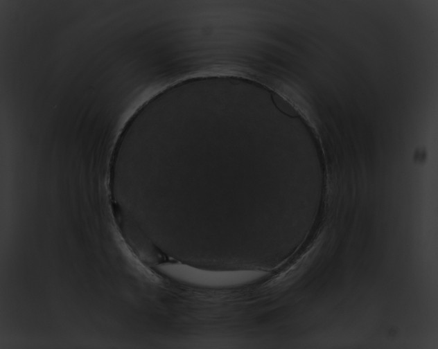 X0000091900797200710031201