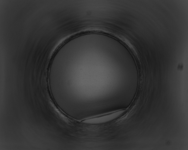 X0000091900799200710031201